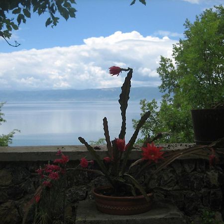 Robinson Sunset Guest House Ohrid Exterior photo